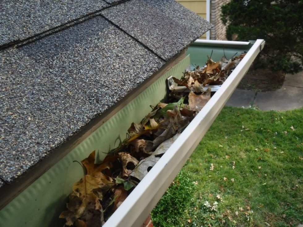The Right Way To Clean Gutters In Six Easy Steps. Joe's Gutters